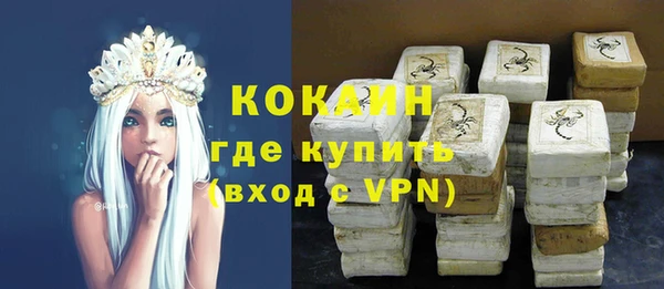 ПСИЛОЦИБИНОВЫЕ ГРИБЫ Новозыбков