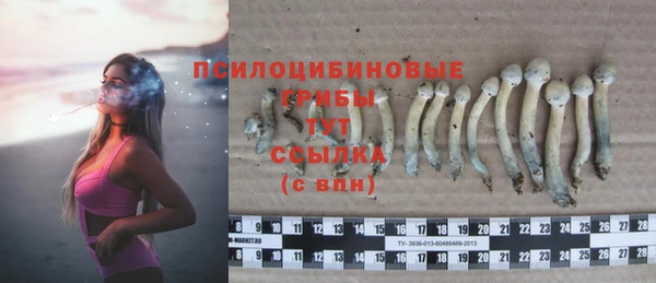 кокс Няндома