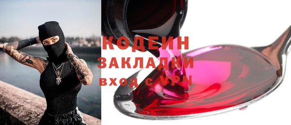 ПСИЛОЦИБИНОВЫЕ ГРИБЫ Новозыбков