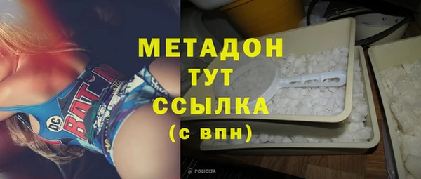 ПСИЛОЦИБИНОВЫЕ ГРИБЫ Новозыбков