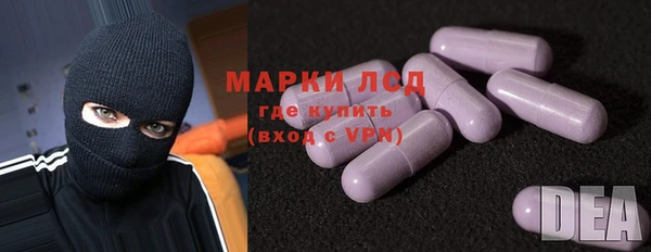 ПСИЛОЦИБИНОВЫЕ ГРИБЫ Новозыбков