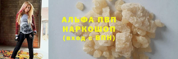 ПСИЛОЦИБИНОВЫЕ ГРИБЫ Новозыбков