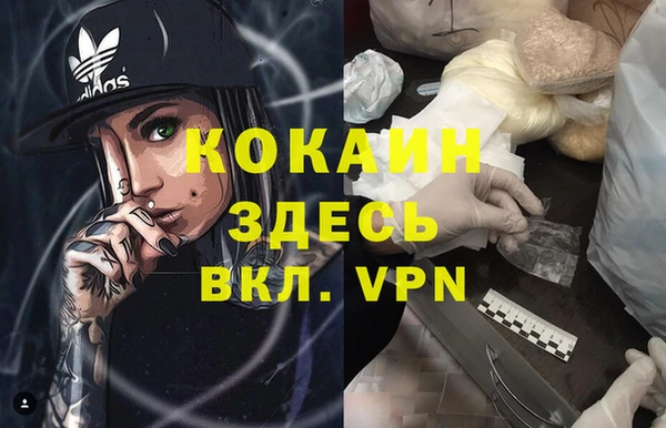 ПСИЛОЦИБИНОВЫЕ ГРИБЫ Новозыбков