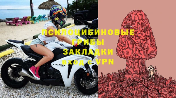 ПСИЛОЦИБИНОВЫЕ ГРИБЫ Новозыбков