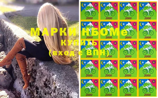 ПСИЛОЦИБИНОВЫЕ ГРИБЫ Новозыбков