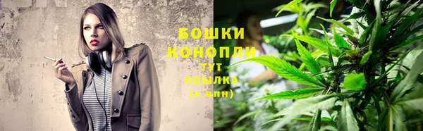 ПСИЛОЦИБИНОВЫЕ ГРИБЫ Новозыбков