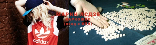 ПСИЛОЦИБИНОВЫЕ ГРИБЫ Новозыбков