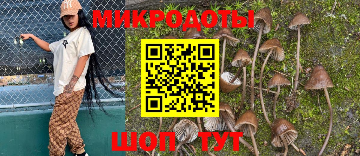 Москва  Псилоцибиновые грибы GOLDEN TEACHER  Вход с VPN 