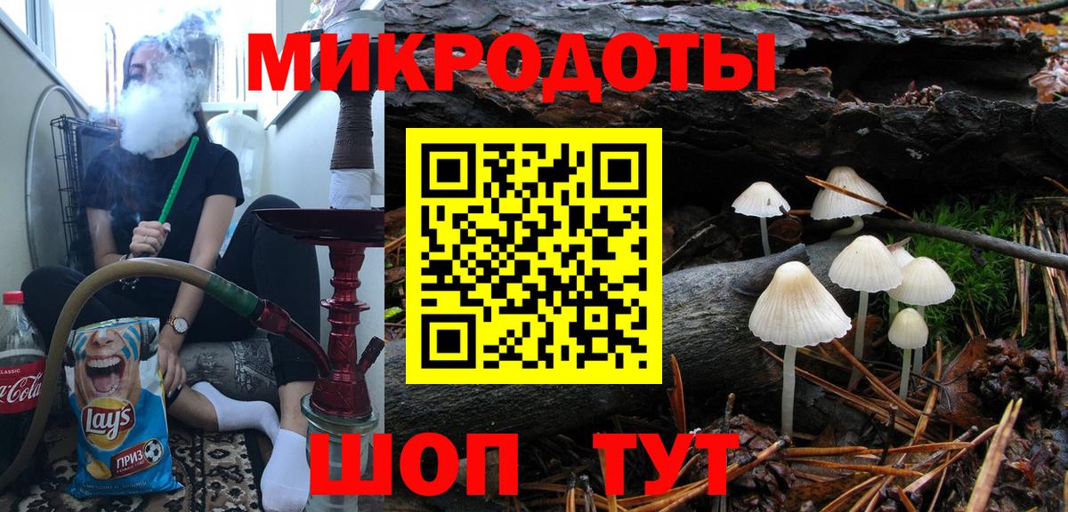 Галлюциногенные грибы Psilocybe  магазин продажи   Москва 